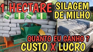 Quantos reais eu ganho por hectare de milho silagem ensacada custos x lucro [upl. by Leisam531]