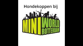 Hondekoppen bij Miniworld Rotterdam [upl. by Uamak]