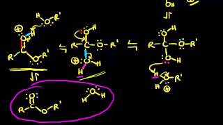 Preparation of esters via Fischer esterification  Organic chemistry  Khan Academy [upl. by Tehr]