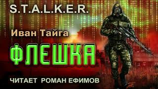 STALKER Флешка аудиокнига БОЕВАЯ ФАНТАСТИКА Иван Тайга Читает Роман Ефимов [upl. by Ravens]