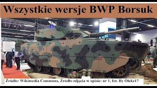 Wszystkie wersje BWP Borsuka [upl. by Ahsikcin56]