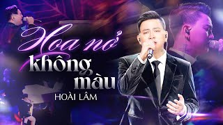 HOA NỞ KHÔNG MÀU  HOÀI LÂM đắm chìm cảm xúc với giọng ca buồn da diết  Live Stage [upl. by Akienaj404]