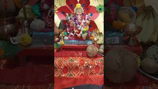 BAPPA MORYA RE ❣️😍🌺🙏 shorts short shortsfeedbappa bappastatusganpatibappamorya ganeshganpati [upl. by Aramot527]