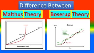 Difference Between Malthus Theory and Boserup Theory [upl. by Ressay580]