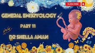 General Embryology  Part 11  3rd week of development 2  Dr Shehla Aman [upl. by Leilah]