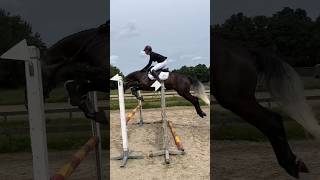 Knappe Cerrito 1M springen Aerdenhout [upl. by Htebizile]