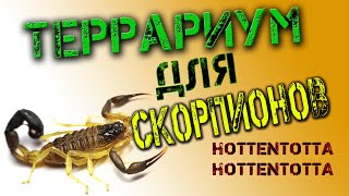 Террариум для скорпионов  HOTTENTOTTA HOTTENTOTTA [upl. by Nairolf]