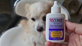 HONEST review of ZYMOX Enzymatic Ear Solution for Dogs [upl. by Aneez]