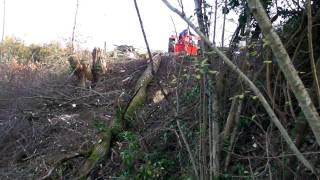 Treuil forestier artisannal en action de débardage de grume [upl. by Ingram]