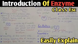 Introduction To Enzyme in biochemistry  Cofactor  Class 11 Biology [upl. by Hartill]