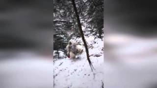 Yeti vs Йети Всегда на вершине со ŠKODA Yeti [upl. by Eberhart]