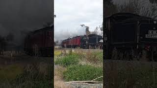 Steam Train arriving into Congupna Victoria 🚂 Heritage Steam Locomotives K183 amp K190 train [upl. by Bendite]