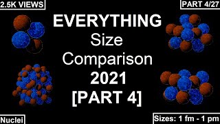 EVERYTHING Size Comparison 2021 PART 4 [upl. by Atteloj]