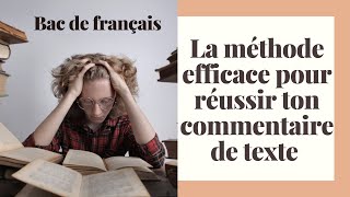 La méthode du commentaire de texte  toutes les clés pour réussir [upl. by Giustino]