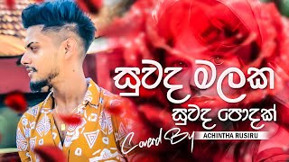 Suwada Malaka  සුවද මලක සුවද පොදක්  TikTok Hitz  Cover Voice Of Achintha Rusiru [upl. by Airdnaz]