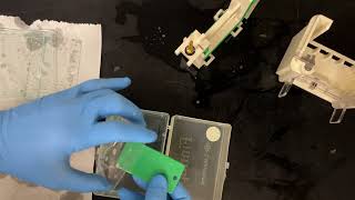 How to stain SDSPAGE gels using Coomassie Blue [upl. by Esbensen791]