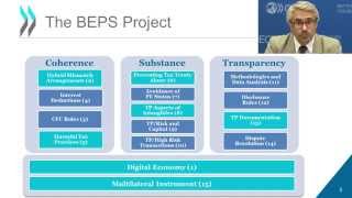 BEPS Webcast 4 Presentation of 2014 BEPS Deliverables [upl. by Aicinat]