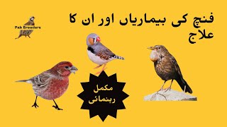 Finch diseases  فنچ کی بیماریاں اور ان کا علاج  Pak Breeders [upl. by Yort]