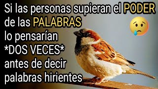 Si las personas supieran el poder de las palabras lo pensarían antes de decir palabras hirientes [upl. by Grefer]