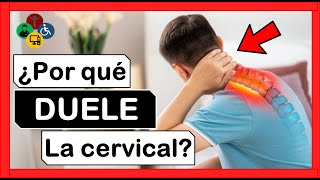 👀 ¿Te duele el cuello ¡CERVICALGIA  Cuales son las causas [upl. by Leeth]