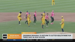 Savannah Bananas to return to Sutter Health Park in 2024 [upl. by Cuttler950]