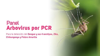 Panel Arbovirus por PCR [upl. by Hamnet671]