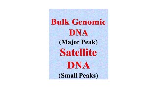 Satellite DNA microsatellite and minisatellite  NCERT NEET [upl. by Ruddy]