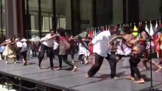 Pata Pata Chicago Sister Cities International South Africa Dance [upl. by Keever465]