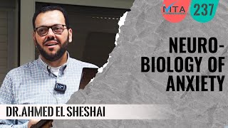 Neurobiology of Anxiety  DrAhmed El Sheshai [upl. by Icken]