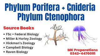 Phylum Porifera Phylum Cnideria amp Ctenophora Characteristics amp Classification  Kingdom Animalia [upl. by Ocirne]