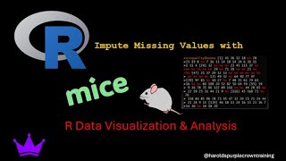 R Data Visualization amp Analysis Impute Missing Values With MICE [upl. by Pachton]