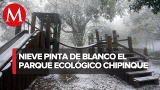 Nieve en Monterrey Visitantes acuden al parque ecológico Chipinque [upl. by Aisekal667]