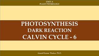 CALVIN CYCLE  6 [upl. by Juliano145]