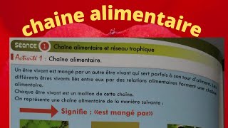 Chaîne alimentaire et réseau trophiqueشرح مبسط وواضح [upl. by Beaner38]