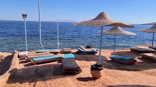 Otium Park Amphoras Blu Resort 4  Aloha  Шарм Эль Шейх 2022 г [upl. by Oisacin504]