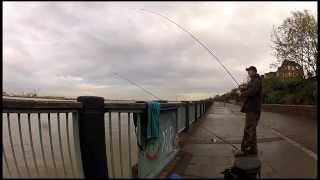 Urban fishing London Tales from the Thames  Blog 1 [upl. by Demitria]