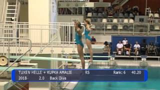 Eindhoven Diving Cup 2014  Boys B and C Girls B and C 3m synchro  Schoonspringen [upl. by Chrotoem]