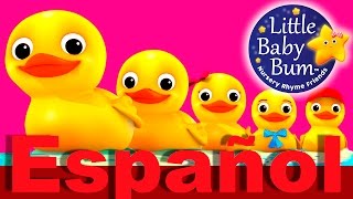 Contar cinco patitos  Canciones infantiles  LittleBabyBum [upl. by Landri84]