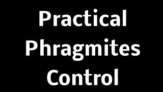 Practical Phragmites Control Meeting  Clay Twp Presentation [upl. by Aldwin]