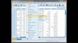 Compute correlations in SPSS Pearsons r [upl. by Lillian]