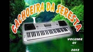 Cachoeira Da Seresta Vol1 2012 [upl. by Celine]