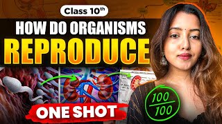 CLASS 10 HOW DO ORGANISMS REPRODUCE  BIOLOGY CLASS 10  SHUBHAM PATHAK science cbseclass10 bio [upl. by Toni124]