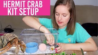 Hermit Crab Kit Setup  Bad Cage Review Loris Hartland [upl. by Jacquelin]