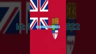 flag ids flags ironassault roblox [upl. by Malia]