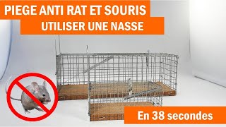 Piège à rat piège à souris nasse comment les utiliser [upl. by Jamison]