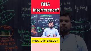 RNA interference class12 biology neetbiology shorts neet cbse motivation [upl. by Gnart756]