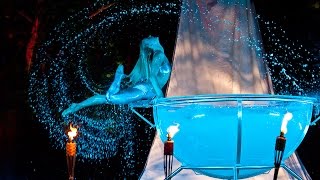 Martini Dancer Mermaid in Glass Act Event Artist International Show India Mumbai Delhi [upl. by Atirehc]