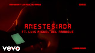 Prince Royce  Anestesiada Official Lyric Video ft Luis Miguel Del Amargue [upl. by Leasa]