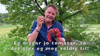 Dag Otto Lauritzen til Tomatfestivalen [upl. by Jordan352]