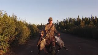 Successful Goose Hunt  Western Labrador  September 2017 [upl. by Ravi]